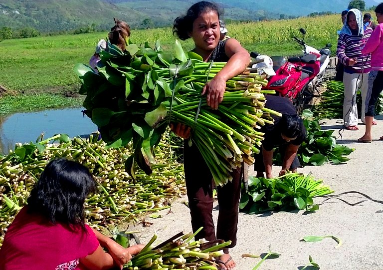 CARAGA Livelihood Programs Spurred By Villar SIPAG And Agata Mining 