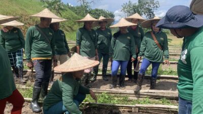 Hands-on learning. Farmers from Barangay Pulang Bato apply their training on vegetable production during interactive field sessions.