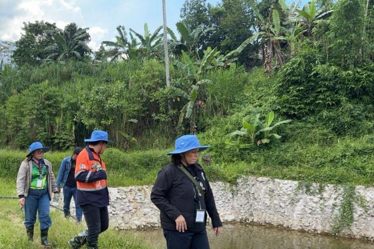 TSHES Auditors check the progress of TVIRD’s Tilapia fish hatchery in Barangay Dimalinao.