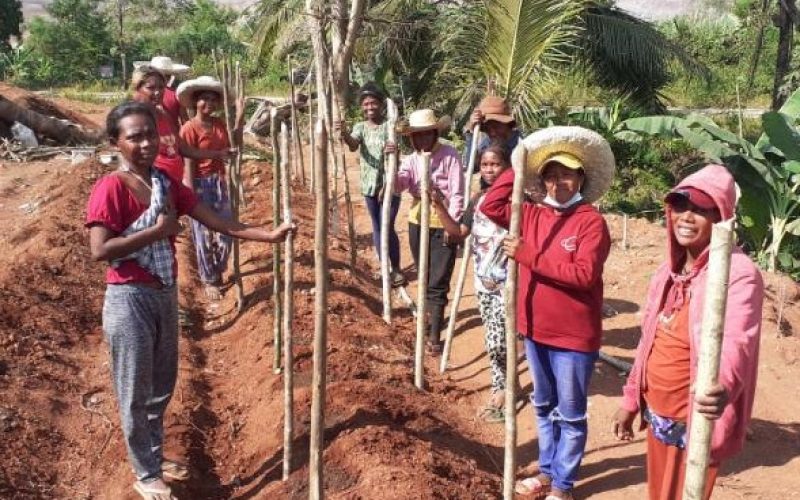 Hard hats off, Farmer’s hat on—as the IP members learn the modern farming techniques provided by Greenstone through its Mabakas Techno Demo Farm.